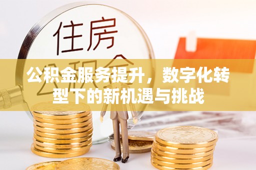 郫县公积金服务提升，数字化转型下的新机遇与挑战
