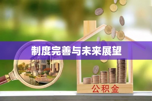 郫县制度完善与未来展望